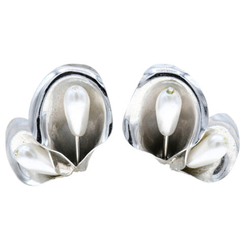 Beau Sterling Silver Earrings